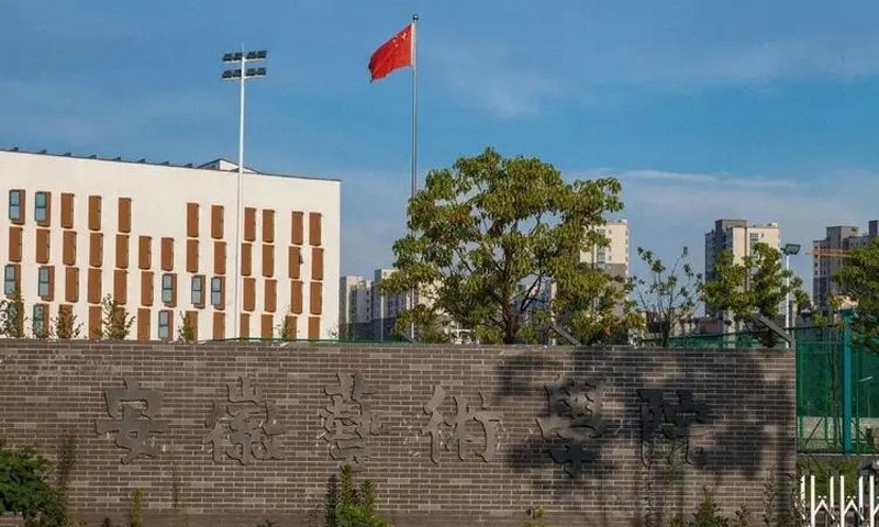 安徽艺术学院是一本还是二本？