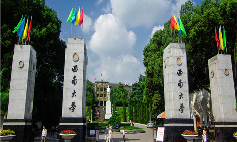 西南大学美术学院迎来230名本科新生