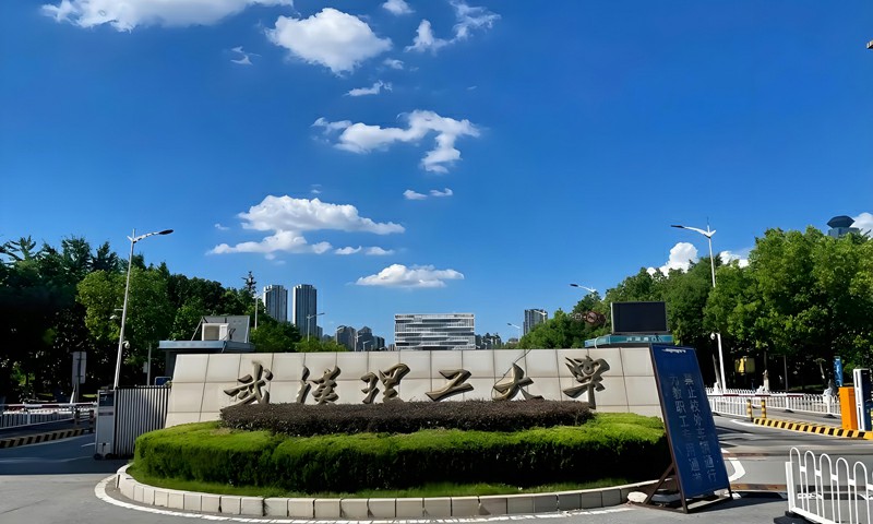 武汉理工大学2026年艺术类专业录取查询