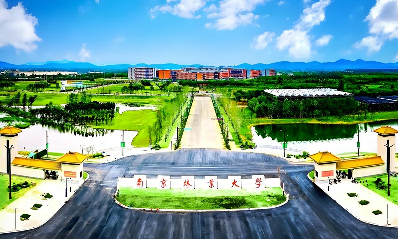 南京林业大学设计学、艺术设计第五轮学科评估排名