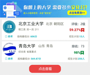 艺术生志愿填报系统